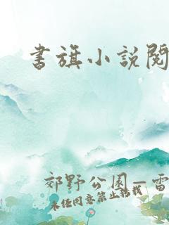 书旗小说阅读网