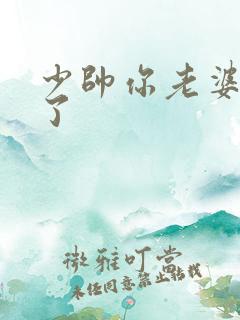 少帅你老婆又跑了