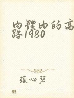 肉体内的高速公路1980