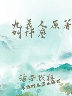 九义人原著小说叫什么