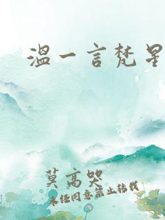 温一言梵星小说