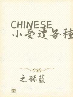 CHINESE小受遭各种打桩