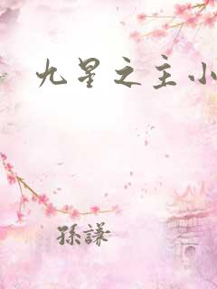 九星之主小说