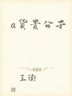 a货贵公子