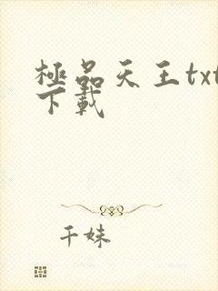 极品天王txt下载