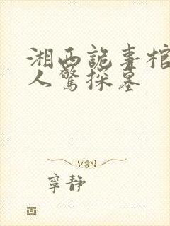 湘西诡事棺山道人惊探墓