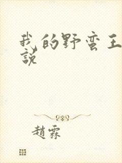 我的野蛮王妃小说