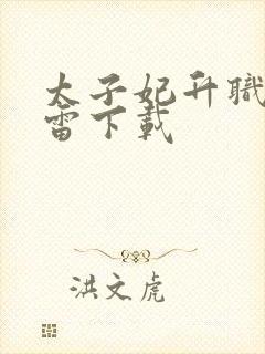 太子妃升职记迅雷下载