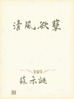 清风欲孽