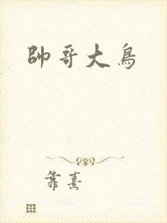 帅哥大鸟