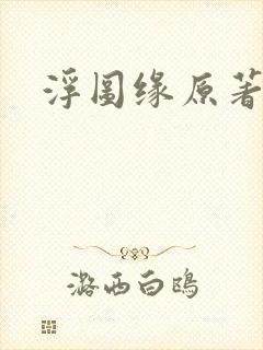 浮图缘原著小说