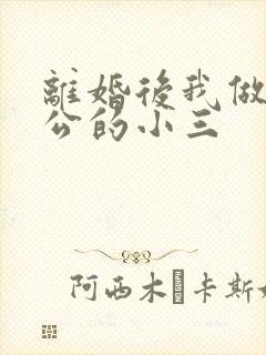 离婚后我做了老公的小三