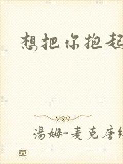 想把你抱起来撞