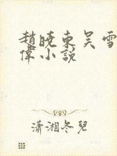 赵晓东吴雪晴郑伟小说