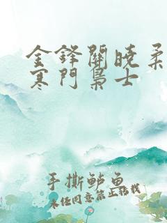 金锋关晓柔小说寒门枭士