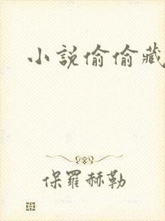 小说偷偷藏不住