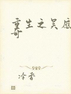 重生之吴应熊传奇