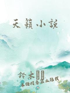 天籁小说