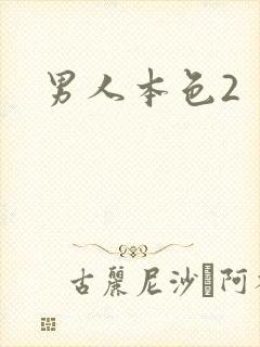 男人本色2