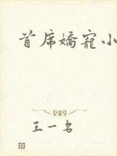 首席娇宠小情人