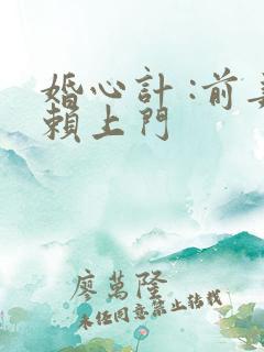 婚心计 :前妻赖上门