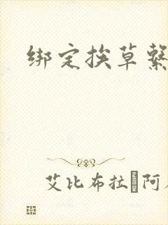 绑定挨草系统后