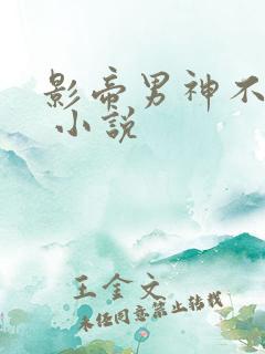 影帝男神不节制 小说