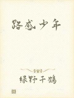 路感少年