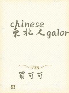 chinese东北人galore