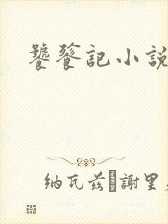 饕餮记小说