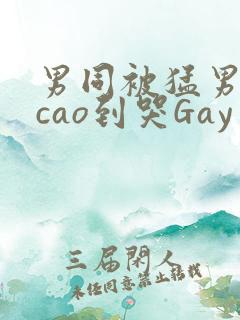 男同被猛男房东cao到哭Gay