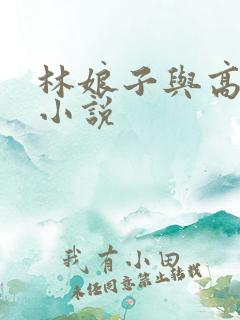 林娘子与高衙内小说