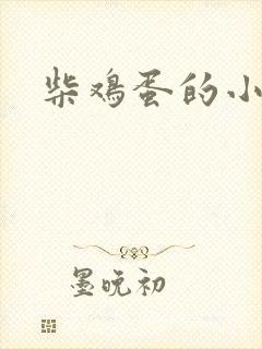 柴鸡蛋的小说