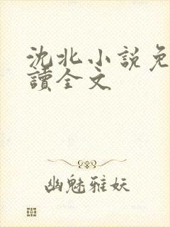 沈北小说免费阅读全文