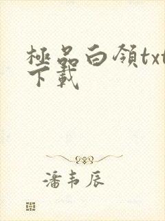 极品白领txt下载