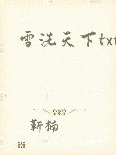 雪洗天下txt