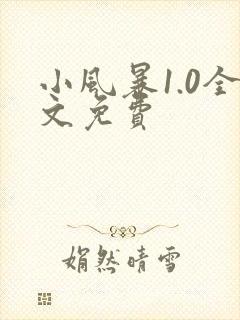 小风暴1.0全文免费