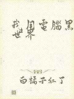 我用电脑黑了全世界