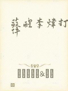 苏醒李炜打架事件