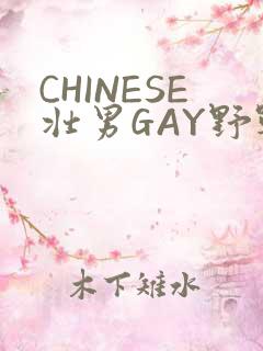 CHINESE壮男GAY野战强迫TUBE