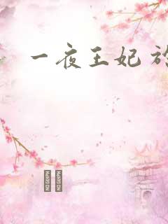 一夜王妃 于墨