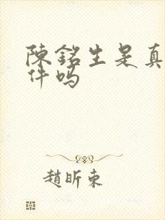 陈铭生是真实事件吗