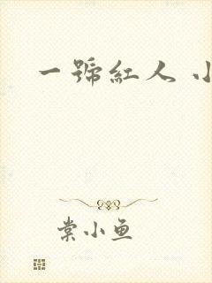 一号红人 小说