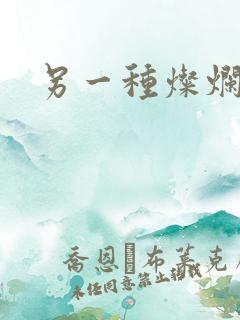 另一种灿烂生活