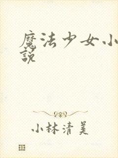 魔法少女小圆小说