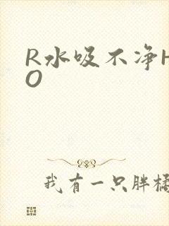 R水吸不净HPO
