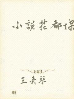 小说花都保镖