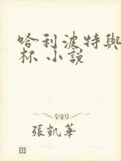 哈利波特与火焰杯 小说