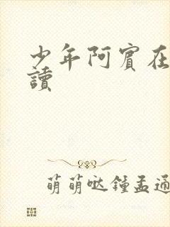 少年阿宾在线阅读