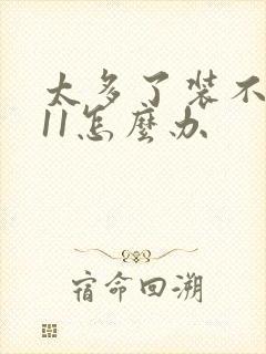 太多了装不下h11怎么办